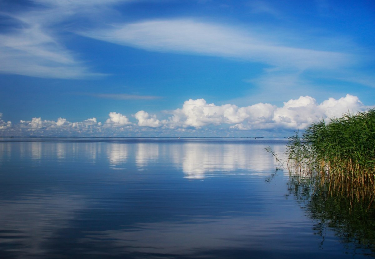 Чудское озеро – отдых, как добраться, достопримечательности, погода, рыбалка
